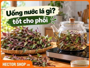 Uống Lá Cây Gì Tốt Cho Phổi? Những Loại Lá Nên Biết
