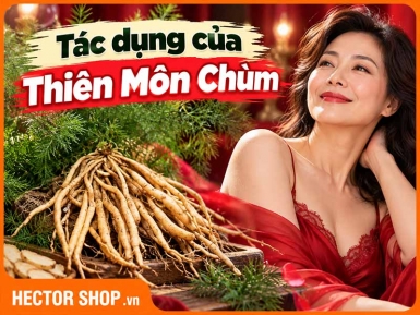 Tác Dụng Của Thiên Môn Chùm Đối Với Sức Khỏe Phụ Nữ